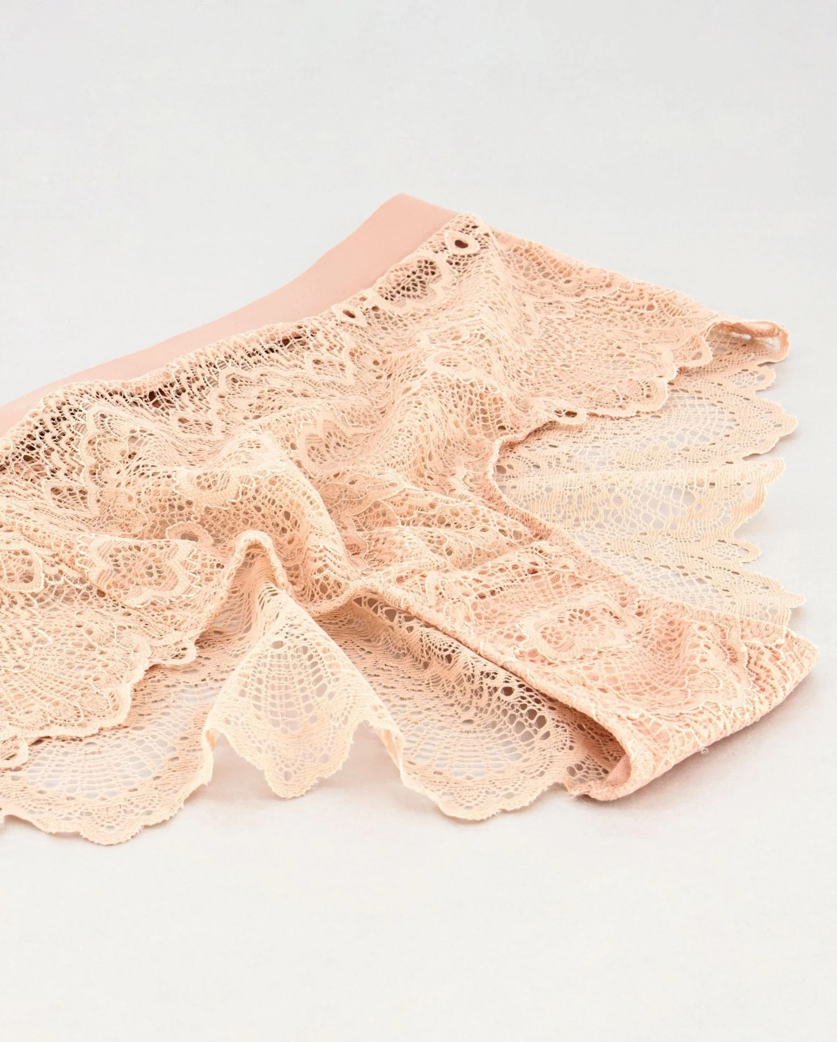 Lace Highwaist Briefs 001 Nude - Image 12