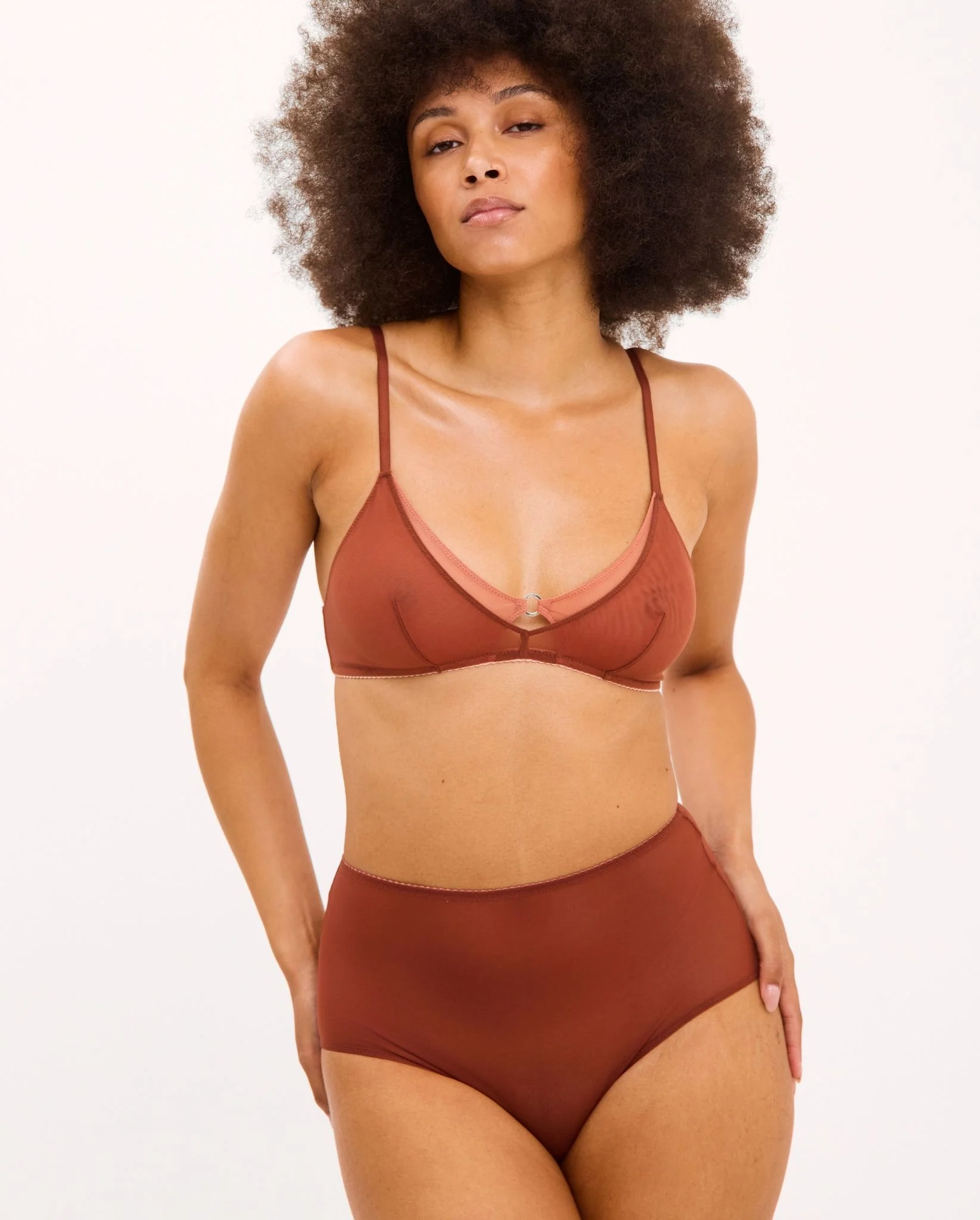 Mesh Highwaist Briefs Rust - Image 4